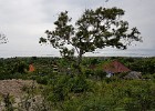 Uitzicht over de Mangroves